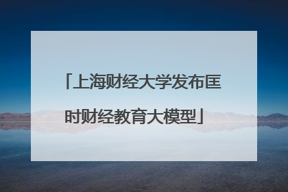 上海财经大学发布匡时财经教育大模型