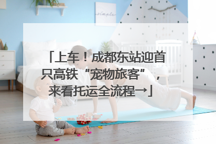 上车！成都东站迎首只高铁“宠物旅客”，来看托运全流程→