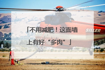 不用减肥！这面墙上有好“多肉”