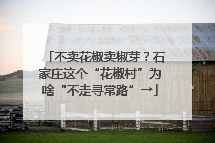 不卖花椒卖椒芽？石家庄这个“花椒村”为啥“不走寻常路”→