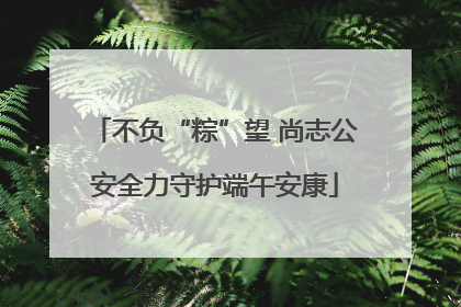 不负“粽”望 尚志公安全力守护端午安康