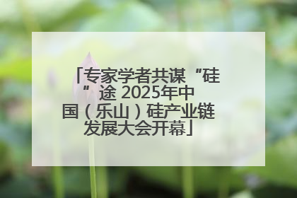 专家学者共谋“硅”途 2025年中国（乐山）硅产业链发展大会开幕