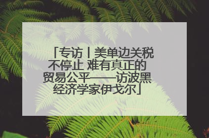 专访丨美单边关税不停止 难有真正的贸易公平——访波黑经济学家伊戈尔