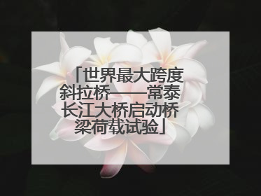 世界最大跨度斜拉桥——常泰长江大桥启动桥梁荷载试验
