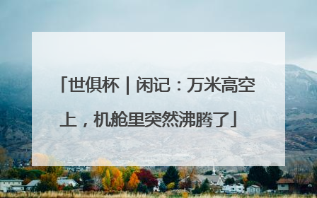 世俱杯｜闲记：万米高空上，机舱里突然沸腾了