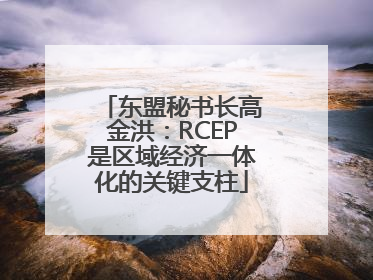 东盟秘书长高金洪：RCEP是区域经济一体化的关键支柱