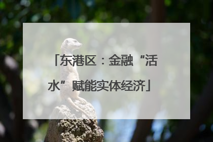 东港区：金融“活水”赋能实体经济