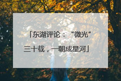 东湖评论：“微光”三十载，一朝成星河