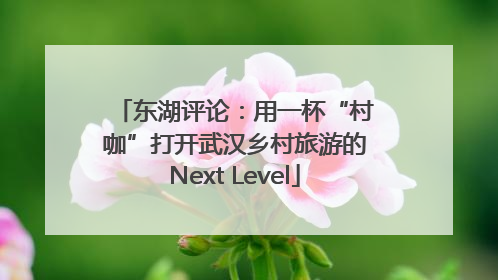 东湖评论：用一杯“村咖”打开武汉乡村旅游的Next Level