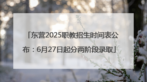 东营2025职教招生时间表公布：6月27日起分两阶段录取