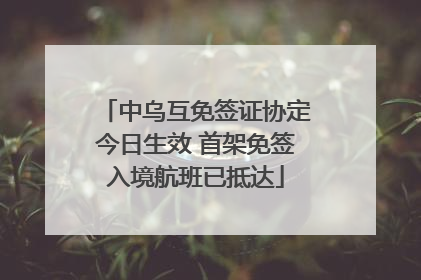 中乌互免签证协定今日生效 首架免签入境航班已抵达
