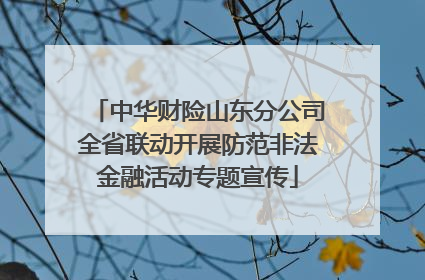 中华财险山东分公司全省联动开展防范非法金融活动专题宣传