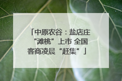 中原农谷：盐店庄“滩桃”上市 全国客商凌晨“赶集”