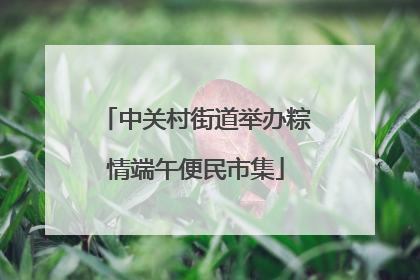 中关村街道举办粽情端午便民市集