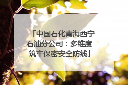 中国石化青海西宁石油分公司：多维度筑牢保密安全防线