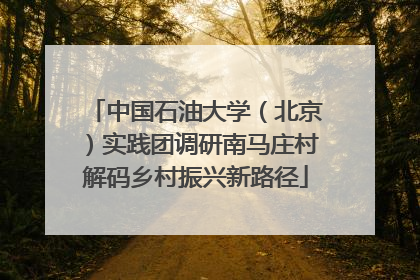 中国石油大学（北京）实践团调研南马庄村解码乡村振兴新路径