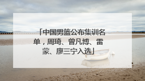 中国男篮公布集训名单，周琦、曾凡博、雷蒙、廖三宁入选