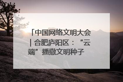 中国网络文明大会｜合肥庐阳区：“云端”播撒文明种子 共建清朗网络空间