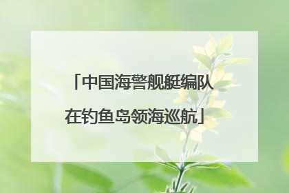 中国海警舰艇编队在钓鱼岛领海巡航