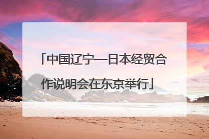 中国辽宁—日本经贸合作说明会在东京举行