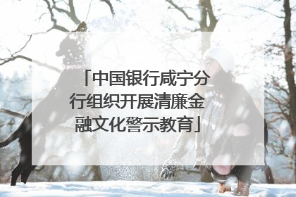 中国银行咸宁分行组织开展清廉金融文化警示教育