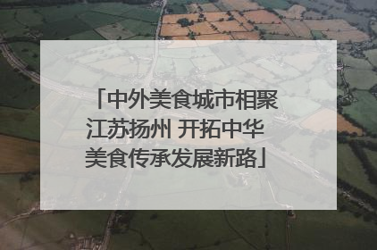 中外美食城市相聚江苏扬州 开拓中华美食传承发展新路