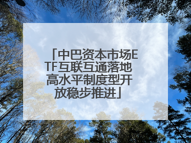 中巴资本市场ETF互联互通落地 高水平制度型开放稳步推进