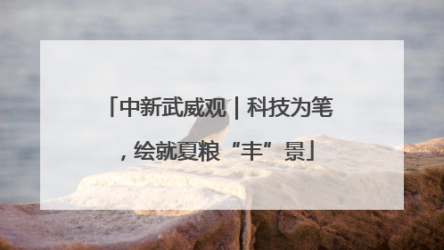 中新武威观｜科技为笔，绘就夏粮“丰”景