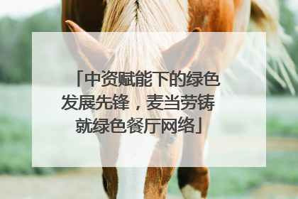 中资赋能下的绿色发展先锋，麦当劳铸就绿色餐厅网络