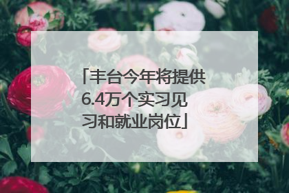 丰台今年将提供6.4万个实习见习和就业岗位
