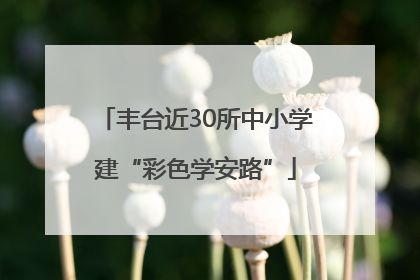 丰台近30所中小学建“彩色学安路”