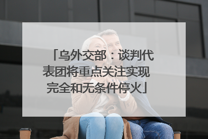 乌外交部：谈判代表团将重点关注实现完全和无条件停火