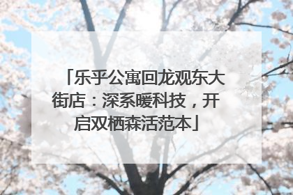乐乎公寓回龙观东大街店：深系暖科技，开启双栖森活范本