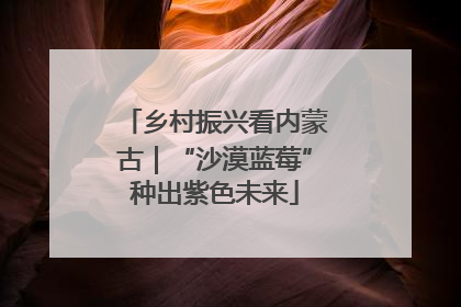 乡村振兴看内蒙古｜“沙漠蓝莓”种出紫色未来