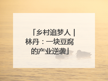 乡村追梦人｜林丹：一块豆腐的产业逆袭