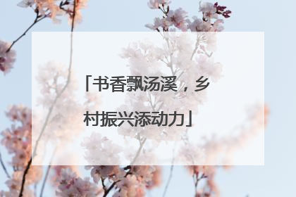 书香飘汤溪，乡村振兴添动力