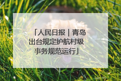 人民日报｜青岛出台规定护航村级事务规范运行