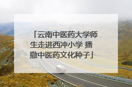 云南中医药大学师生走进西冲小学 播撒中医药文化种子