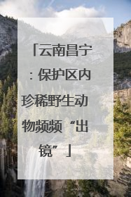 云南昌宁：保护区内珍稀野生动物频频“出镜”