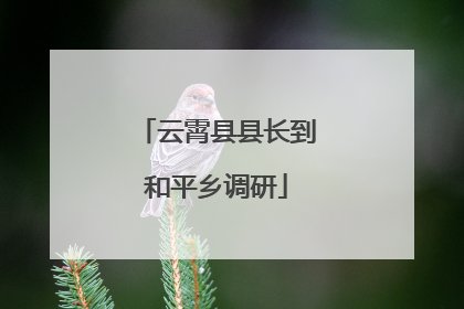 云霄县县长到和平乡调研