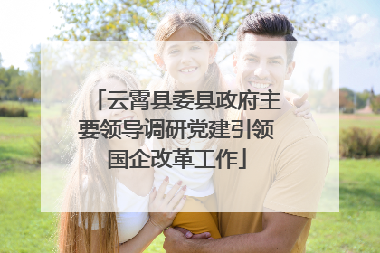 云霄县委县政府主要领导调研党建引领国企改革工作