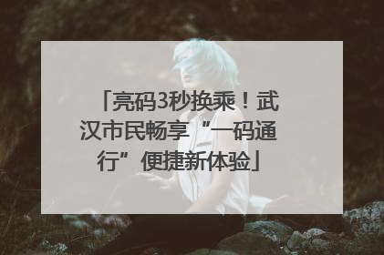 亮码3秒换乘！武汉市民畅享“一码通行”便捷新体验