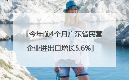 今年前4个月广东省民营企业进出口增长5.6%