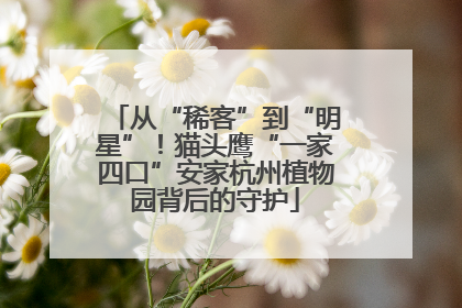 从“稀客”到“明星”！猫头鹰“一家四口”安家杭州植物园背后的守护