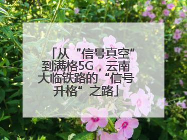 从“信号真空”到满格5G，云南大临铁路的“信号升格”之路