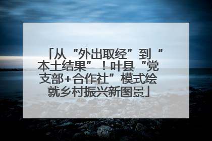 从“外出取经”到“本土结果”！叶县“党支部+合作社”模式绘就乡村振兴新图景