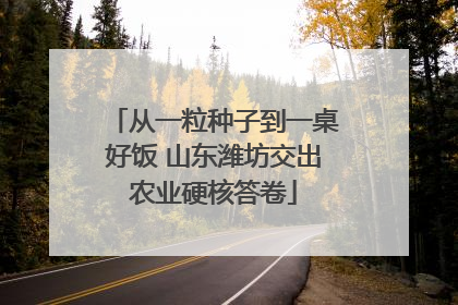 从一粒种子到一桌好饭 山东潍坊交出农业硬核答卷