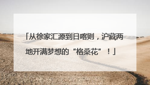 从徐家汇源到日喀则，沪藏两地开满梦想的“格桑花”！