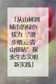 从山林到城市的绿色接力 “漫步缙云·青山驿站”探索生态文明新实践