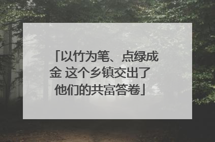 以竹为笔、点绿成金 这个乡镇交出了他们的共富答卷